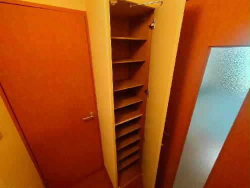 7/17 その他画像