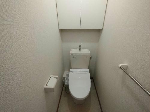 8/17 その他画像