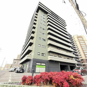 11/19 その他画像