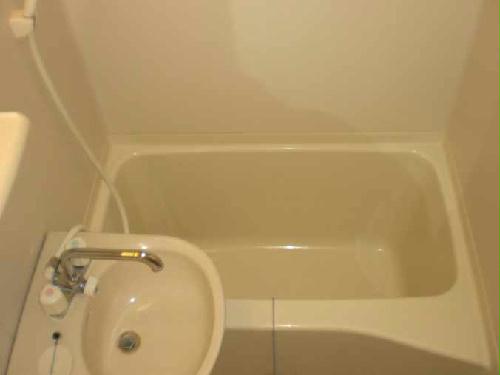 11/19 その他画像