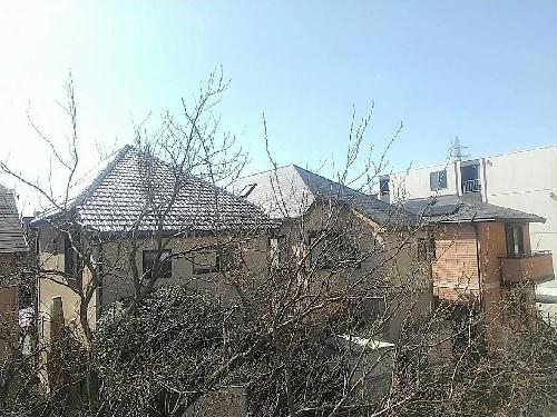 13/21 その他画像