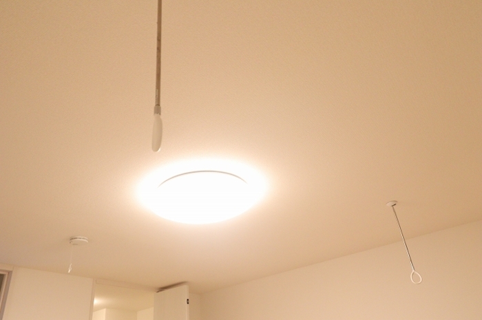 11/23 その他画像