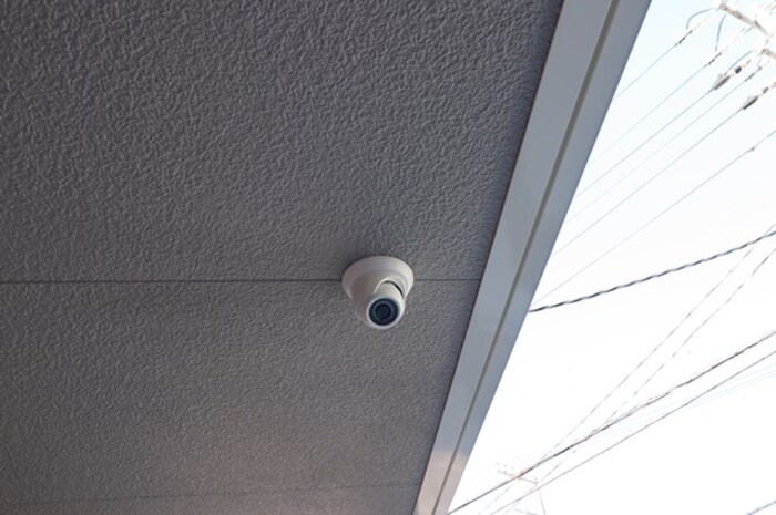 17/20 その他画像