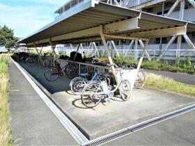 15/19 その他画像