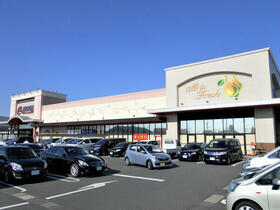 16/19 その他画像