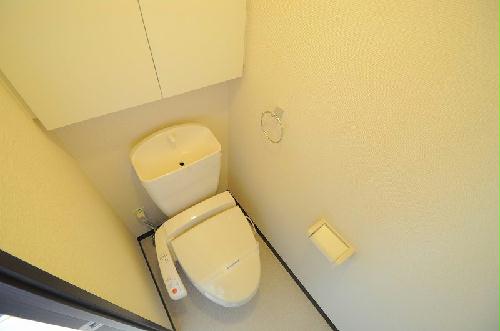 11/14 その他画像