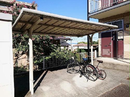 11/17 その他画像