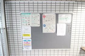 11/17 その他画像