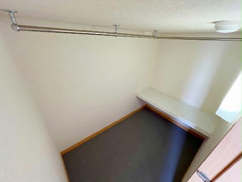 8/17 その他画像