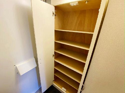 11/14 その他画像