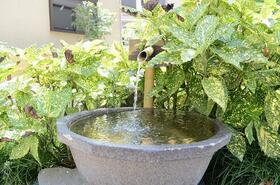 15/16 その他画像