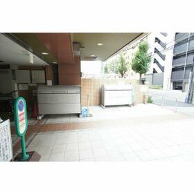 5/16 その他画像