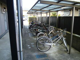 11/11 その他画像