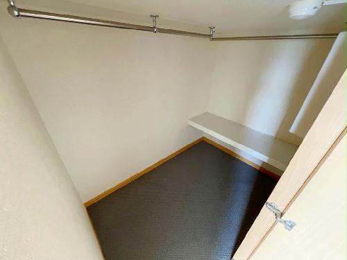 8/17 その他画像