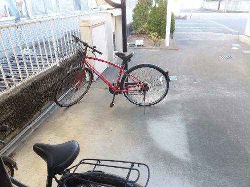 12/23 その他画像