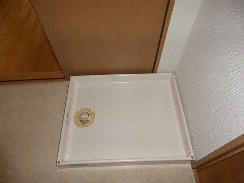 8/19 その他画像