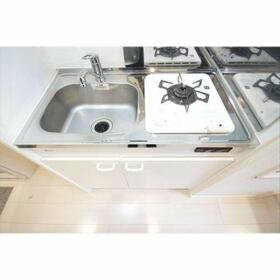 5/16 その他画像