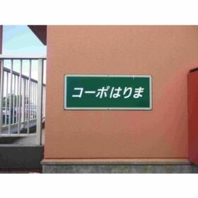 11/11 その他画像