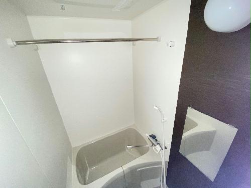 8/19 その他画像