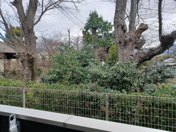 16/20 その他画像