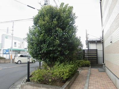 13/15 エントランス