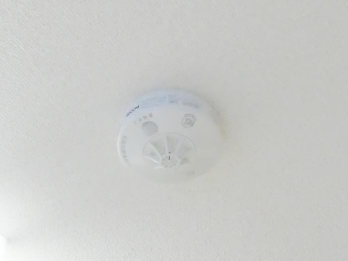 15/20 その他画像