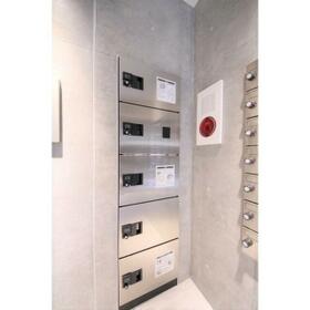 15/17 その他画像