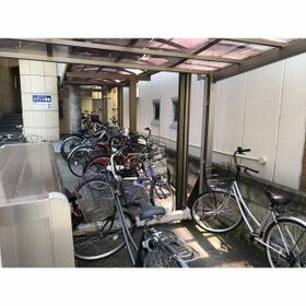 5/16 その他画像