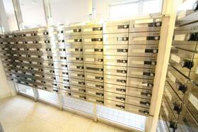 15/16 その他画像