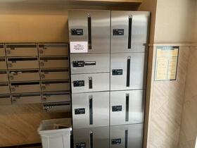 15/16 その他画像