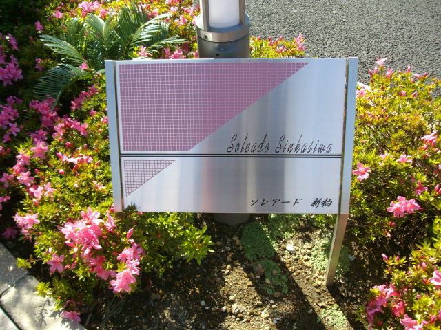 14/19 その他画像