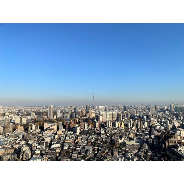 10/14 その他画像