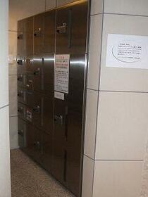 11/16 その他画像