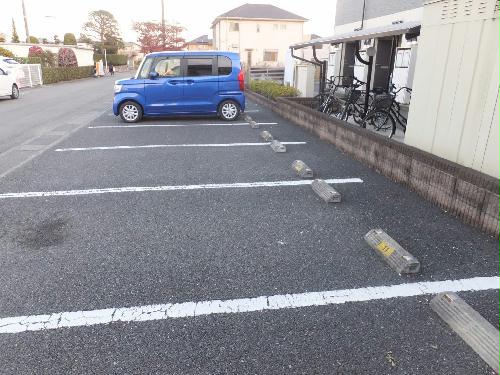 11/14 その他画像