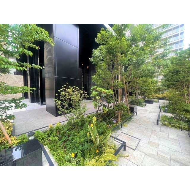 8/18 その他画像