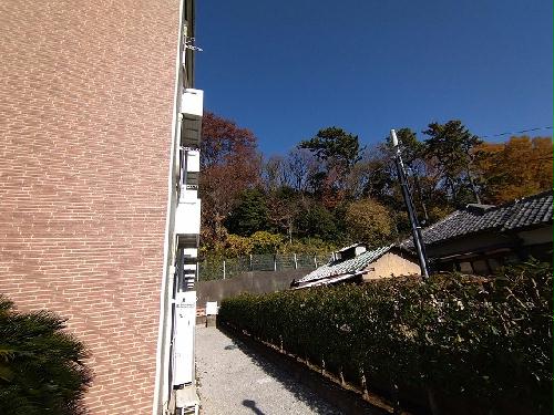 13/17 その他画像