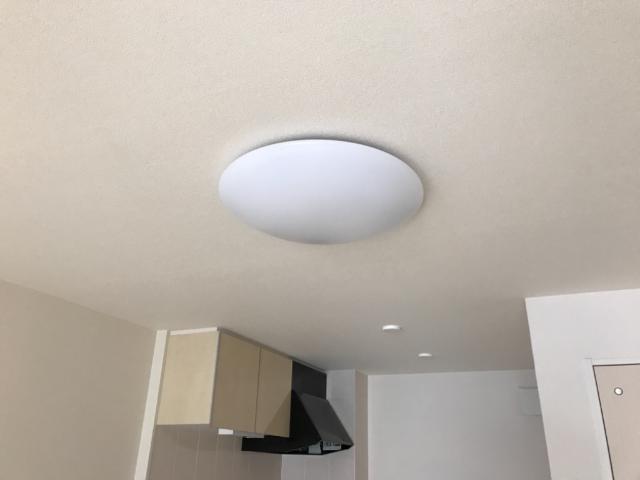 19/26 その他画像