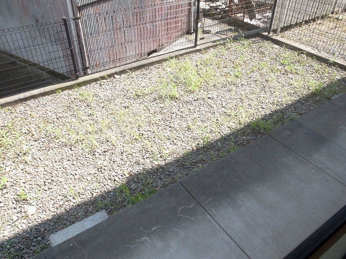 12/13 その他画像