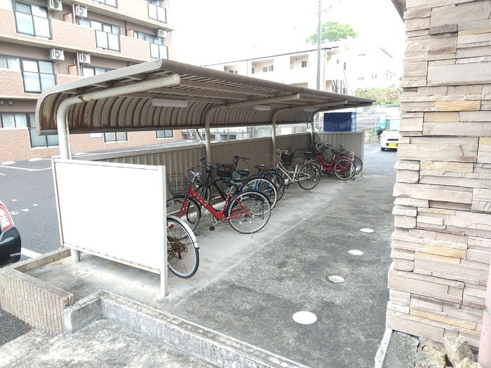 5/14 その他画像