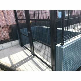 11/11 その他画像