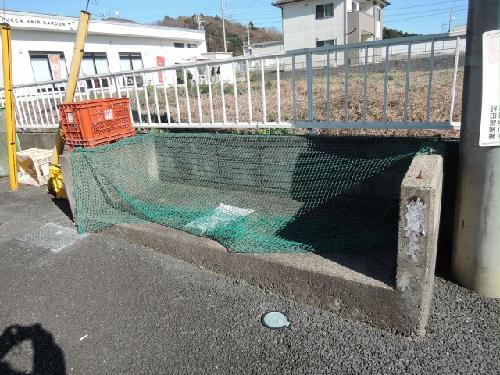 13/20 その他画像