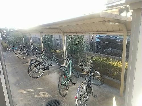 5/23 その他画像