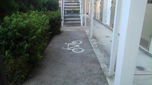 8/14 その他画像