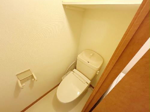 8/14 その他画像