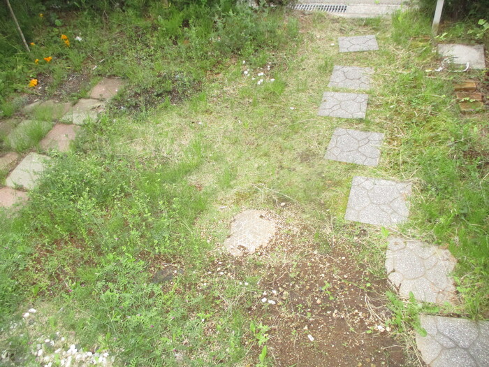 12/14 その他画像