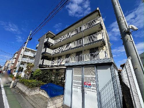 3/16 その他画像