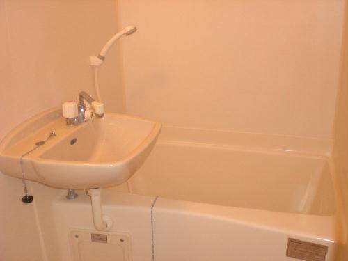 11/14 その他画像