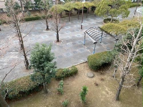 11/15 その他画像