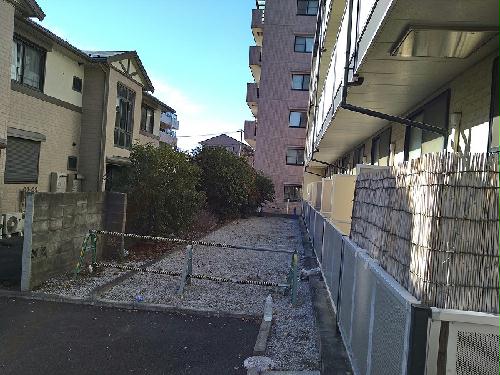 11/14 その他画像