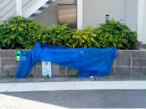 10/18 その他画像